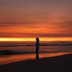 Sony Alpha A6700 Mirrorless Camera With E 18-135mm F/3.5-5.6 OSS Lens 22 Sony Alpha A6700 Mirrorless Camera With E 18-135mm F/3.5-5.6 OSS Lens -Capture Point 2d7483b0 e888 4eb9 b985 821f9c3f2704