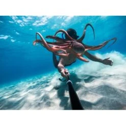 GoPro - HERO9 Black 5K And 20 MP Streaming Action Camera - Black -Capture Point 4455aee3 f348 57d8 a655 20ec75107452