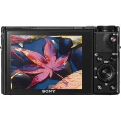 Sony - Cyber-shot DSC-RX100 V 20.1-Megapixel Digital Camera - Black -Capture Point 586113ca 2044 58ce b591 e05de888af02
