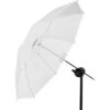 Profoto Shallow Translucent Umbrella, Small, 33" (83.82cm) -Capture Point c215fa11 3576 452f 89a3 e46ffbedece0